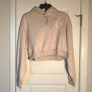 Victoria’s Secret PINK Everyday Fleece Cropped Hoodie